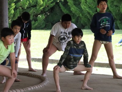 ４月度　わんぱく相撲浜松場所　練習・説明会