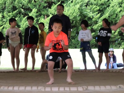 ４月度　わんぱく相撲浜松場所　練習・説明会