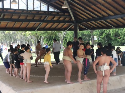 ４月度　わんぱく相撲浜松場所　練習・説明会