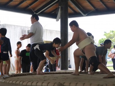 ４月度　わんぱく相撲浜松場所　練習・説明会
