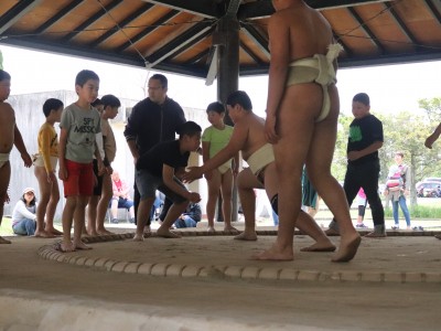 ４月度　わんぱく相撲浜松場所　練習・説明会