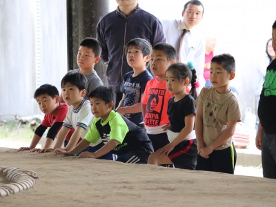 ４月度　わんぱく相撲浜松場所　練習・説明会