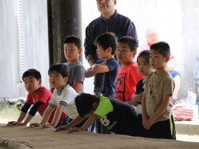 ４月度　わんぱく相撲浜松場所　練習・説明会