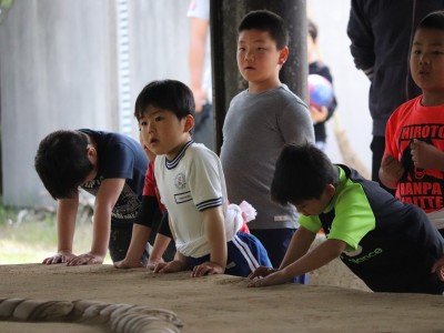 ４月度　わんぱく相撲浜松場所　練習・説明会