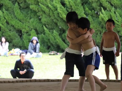 ４月度　わんぱく相撲浜松場所　練習・説明会