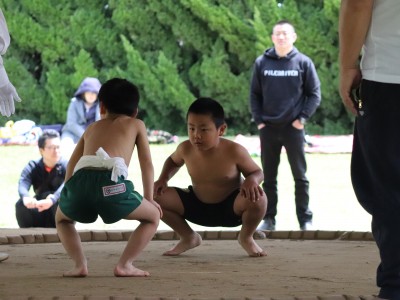 ４月度　わんぱく相撲浜松場所　練習・説明会