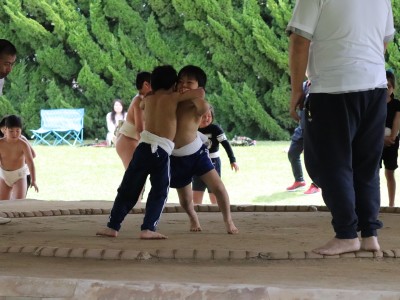 ４月度　わんぱく相撲浜松場所　練習・説明会