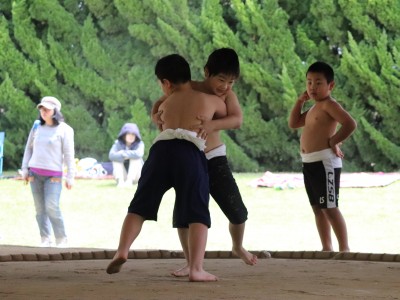 ４月度　わんぱく相撲浜松場所　練習・説明会