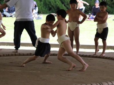 ４月度　わんぱく相撲浜松場所　練習・説明会