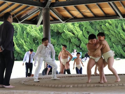 ４月度　わんぱく相撲浜松場所　練習・説明会