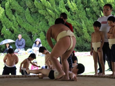 ４月度　わんぱく相撲浜松場所　練習・説明会