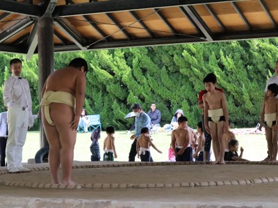 ４月度　わんぱく相撲浜松場所　練習・説明会