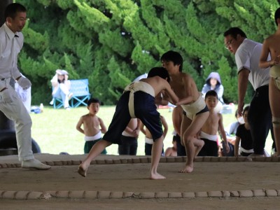 ４月度　わんぱく相撲浜松場所　練習・説明会