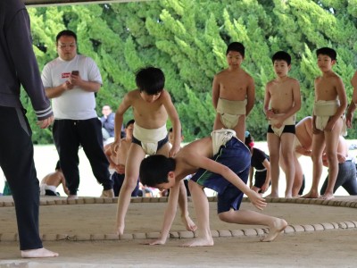 ４月度　わんぱく相撲浜松場所　練習・説明会