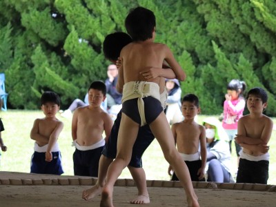 ４月度　わんぱく相撲浜松場所　練習・説明会