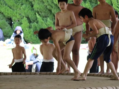 ４月度　わんぱく相撲浜松場所　練習・説明会