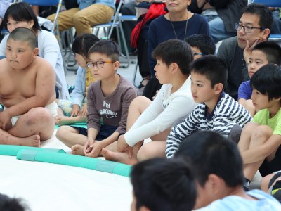 ５月度例会   わんぱく相撲浜松場所