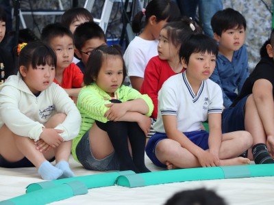 ５月度例会   わんぱく相撲浜松場所