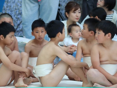 ５月度例会   わんぱく相撲浜松場所