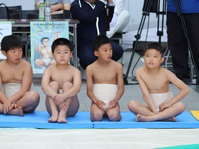 ５月度例会   わんぱく相撲浜松場所