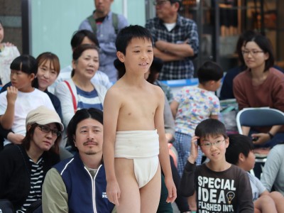 ５月度例会   わんぱく相撲浜松場所