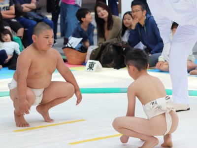 ５月度例会   わんぱく相撲浜松場所