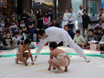 ５月度例会   わんぱく相撲浜松場所