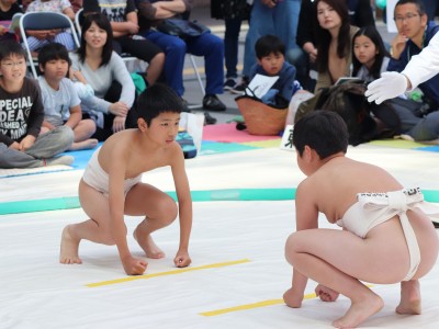 ５月度例会   わんぱく相撲浜松場所