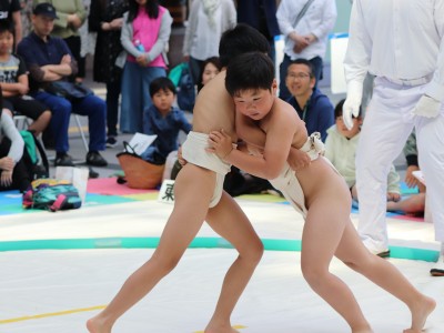 ５月度例会   わんぱく相撲浜松場所