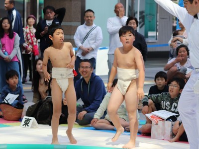 ５月度例会   わんぱく相撲浜松場所