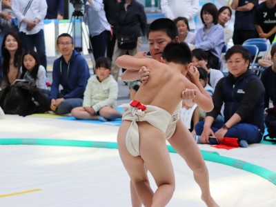 ５月度例会   わんぱく相撲浜松場所