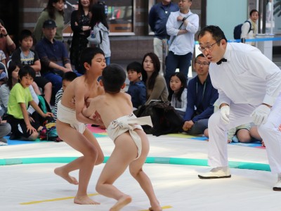 ５月度例会   わんぱく相撲浜松場所