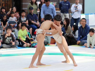 ５月度例会   わんぱく相撲浜松場所