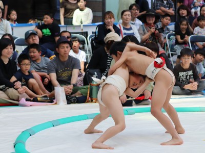 ５月度例会   わんぱく相撲浜松場所