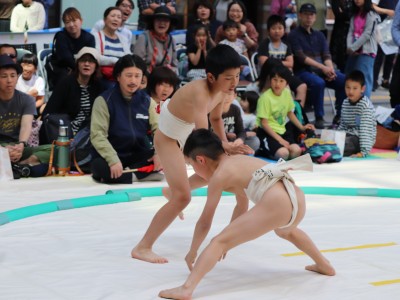 ５月度例会   わんぱく相撲浜松場所