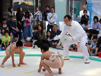 ５月度例会   わんぱく相撲浜松場所