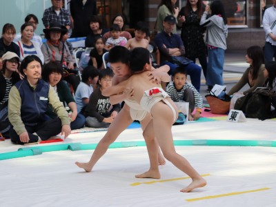 ５月度例会   わんぱく相撲浜松場所