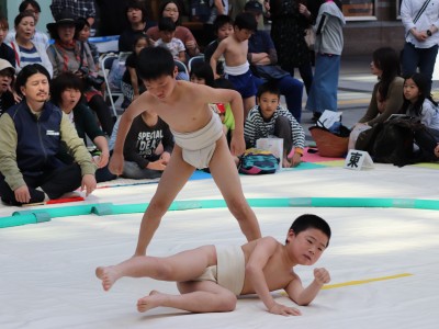 ５月度例会   わんぱく相撲浜松場所