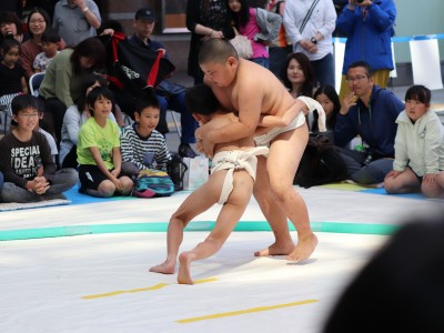 ５月度例会   わんぱく相撲浜松場所