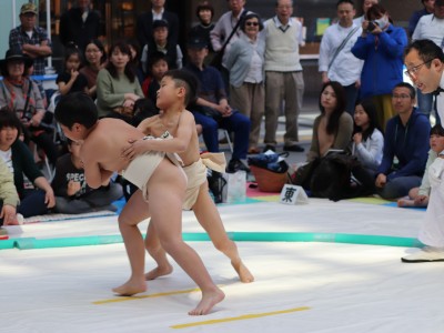 ５月度例会   わんぱく相撲浜松場所