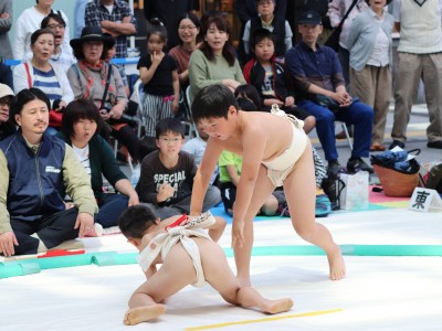 ５月度例会   わんぱく相撲浜松場所