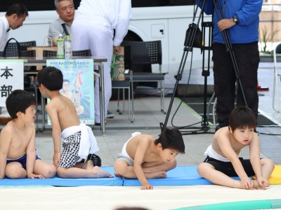 ５月度例会   わんぱく相撲浜松場所