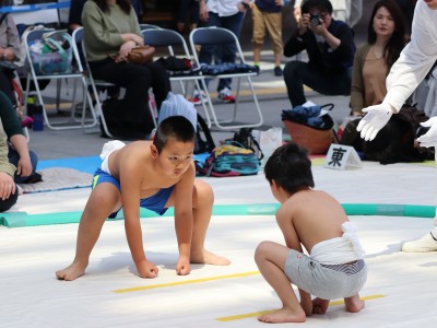 ５月度例会   わんぱく相撲浜松場所