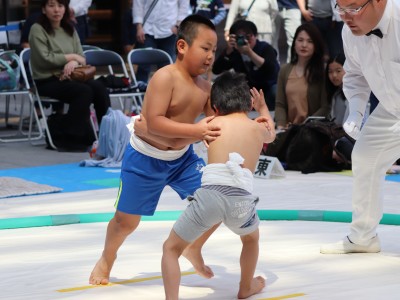 ５月度例会   わんぱく相撲浜松場所