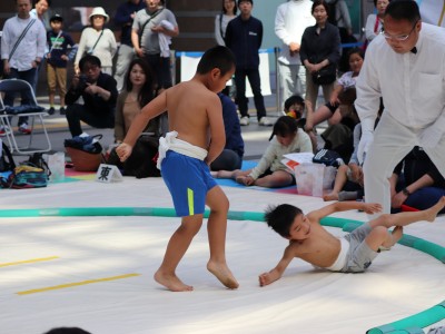 ５月度例会   わんぱく相撲浜松場所