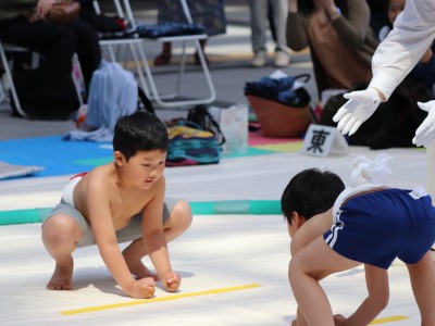 ５月度例会   わんぱく相撲浜松場所