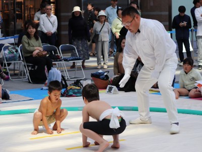 ５月度例会   わんぱく相撲浜松場所