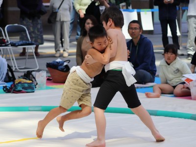 ５月度例会   わんぱく相撲浜松場所