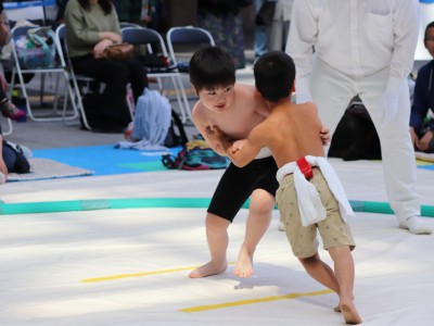 ５月度例会   わんぱく相撲浜松場所