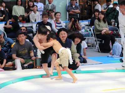 ５月度例会   わんぱく相撲浜松場所